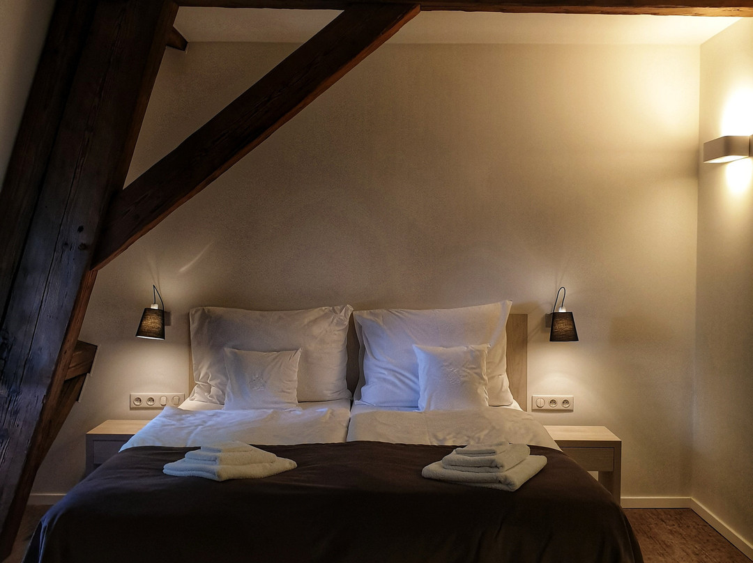 Hotel Chateau Gbelany主图