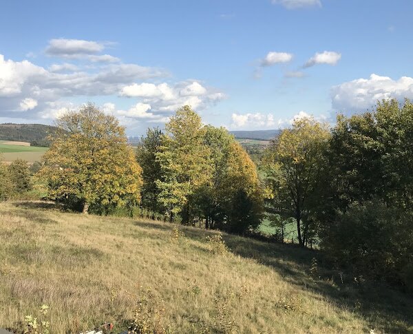 Hotel Waldquelle - Baumhaushotel Aerzen-酒店景观