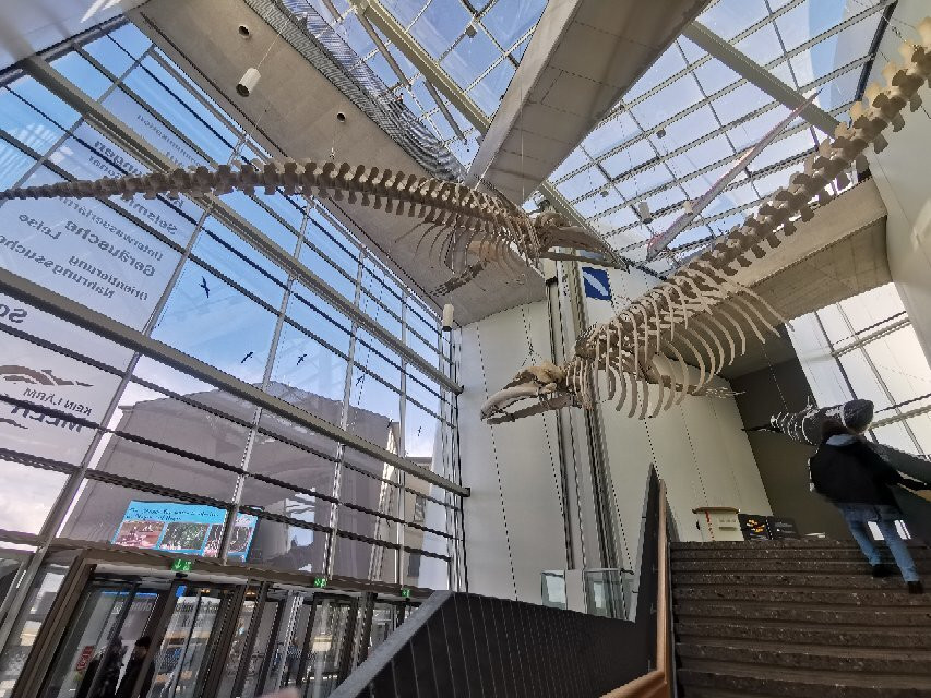 Ozeaneum-施特拉尔松德必去景点