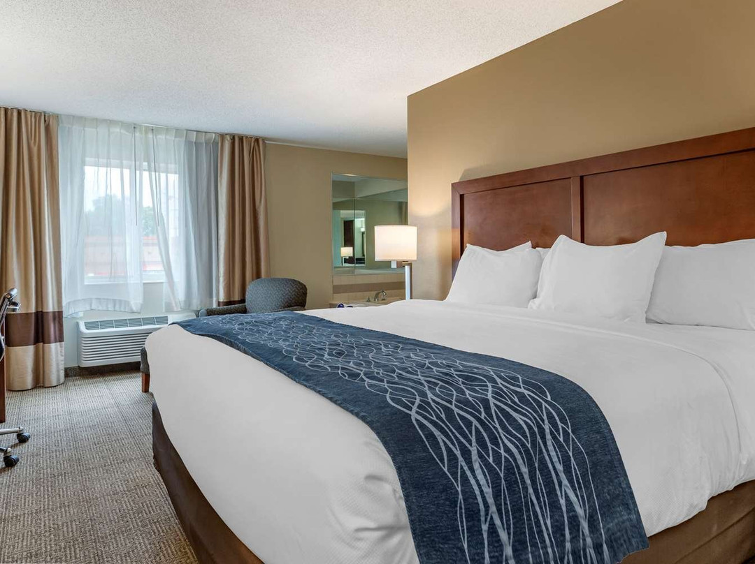 Comfort Inn & Suites Lansing - Dimondale主图