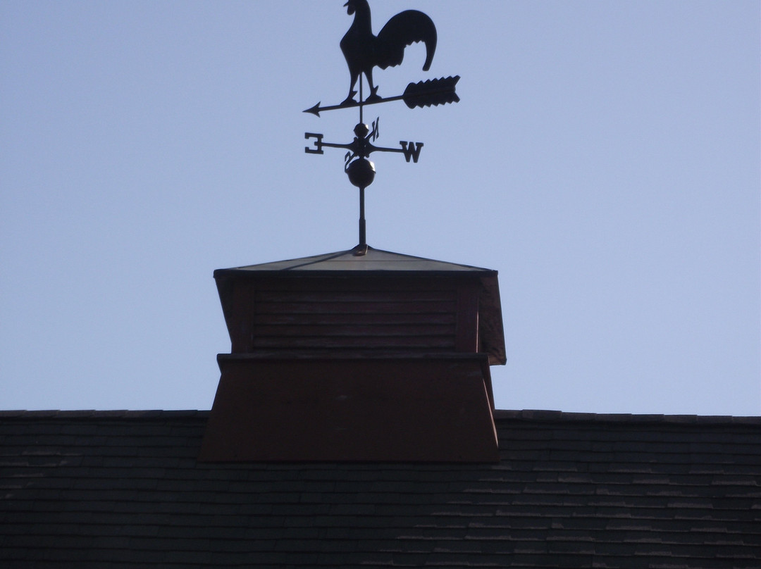 Chase Farms-韦尔斯必去景点