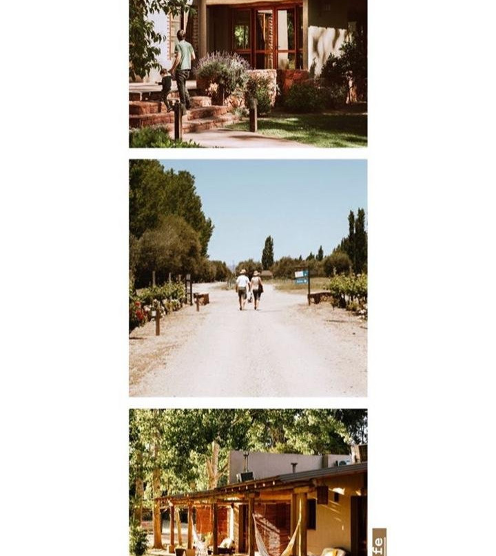 Algodon Winery-圣拉斐尔必去景点