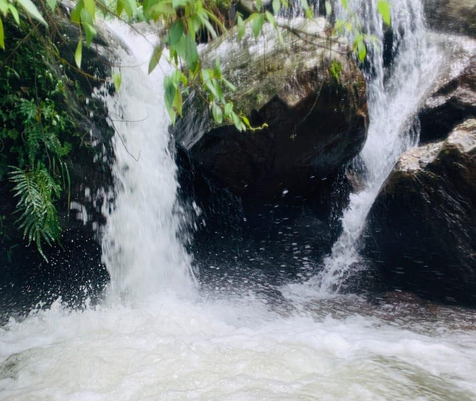 GoKotagiri Tourism景点图片