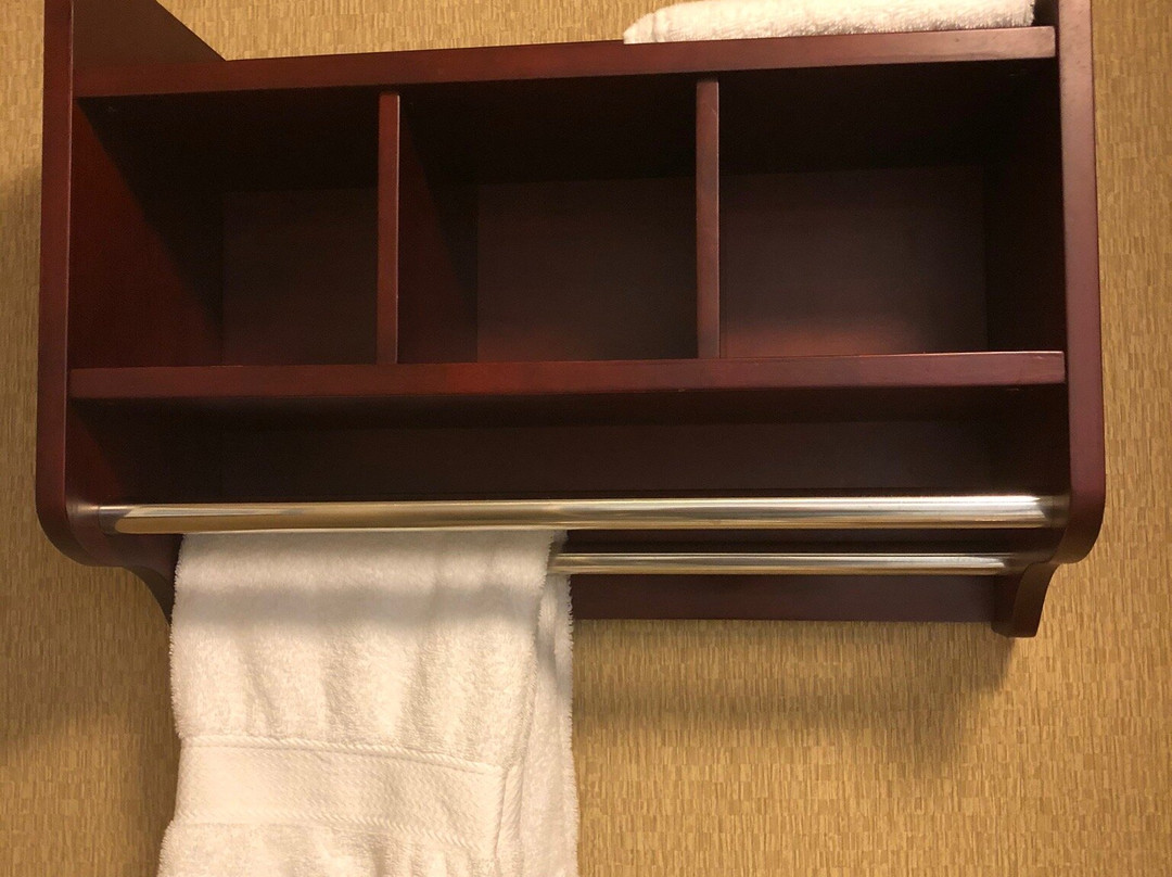 纳舒华希尔顿恒庭酒店主图