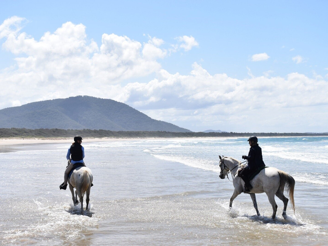 Kerewong Horse Farm Nsw-Lorne必去景点