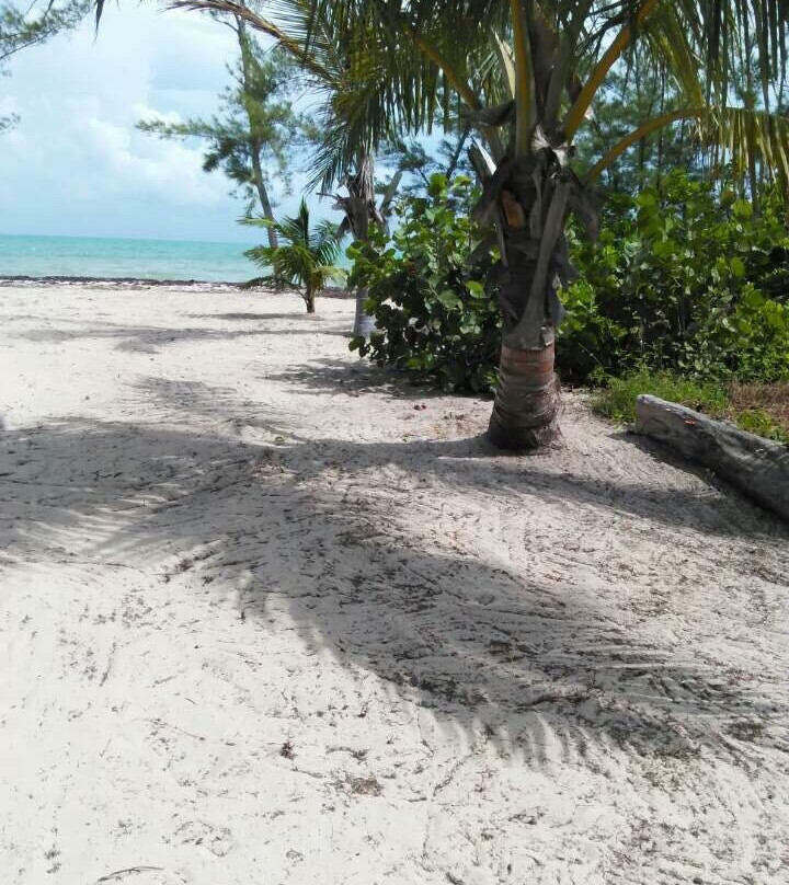 Eva's Bonefishlodge主图