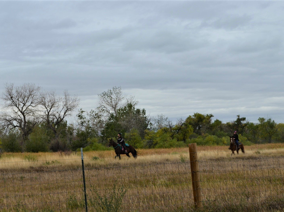 Cherry Creek State Park-奥罗拉必去景点