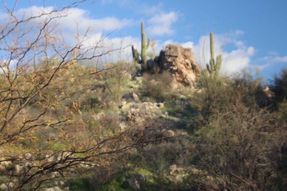 Honeybee Canyon Park-Oro Valley必去景点
