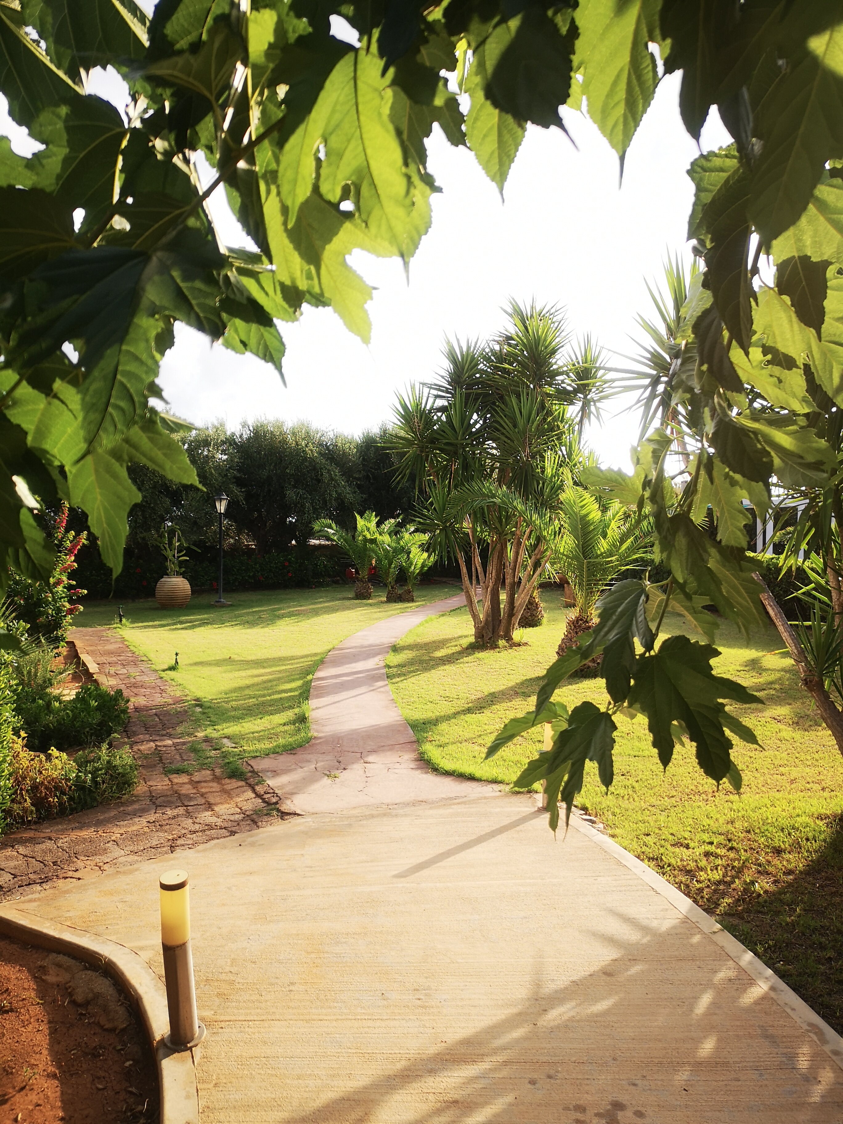 Oasis Beach Hotel-官方