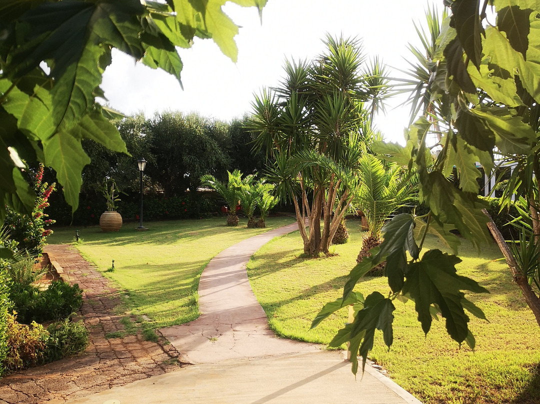 Oasis Beach Hotel主图