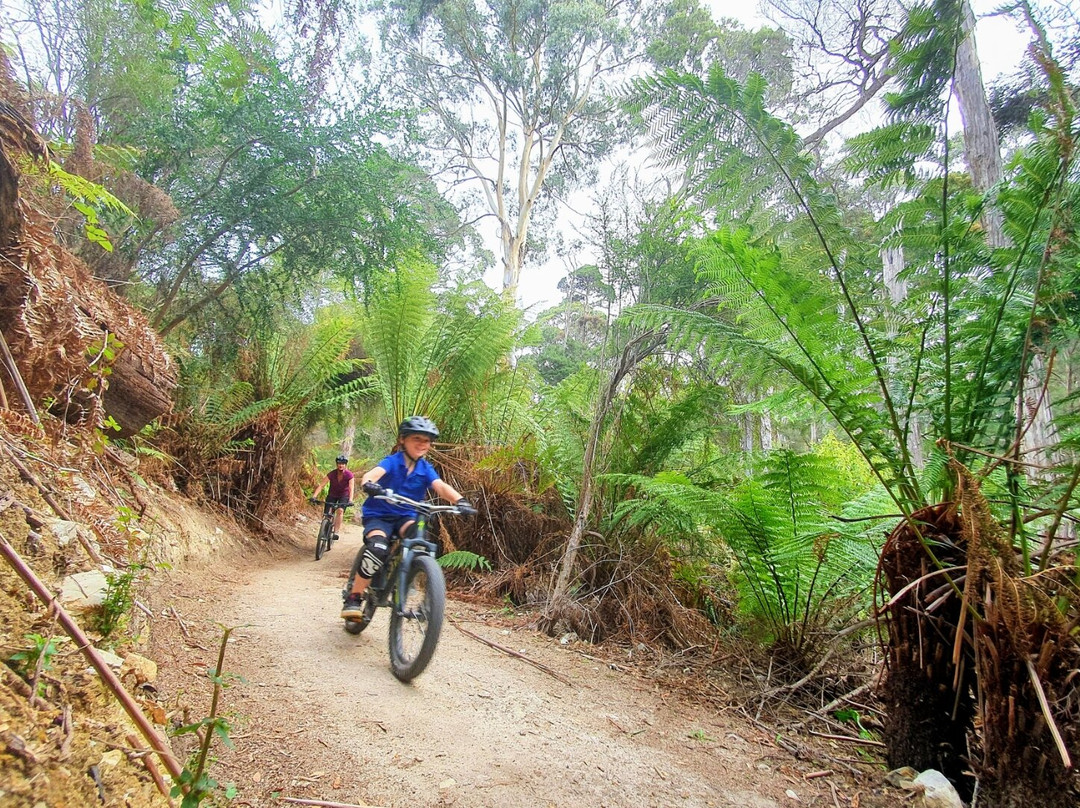 Vertigo MTB-Derby必去景点