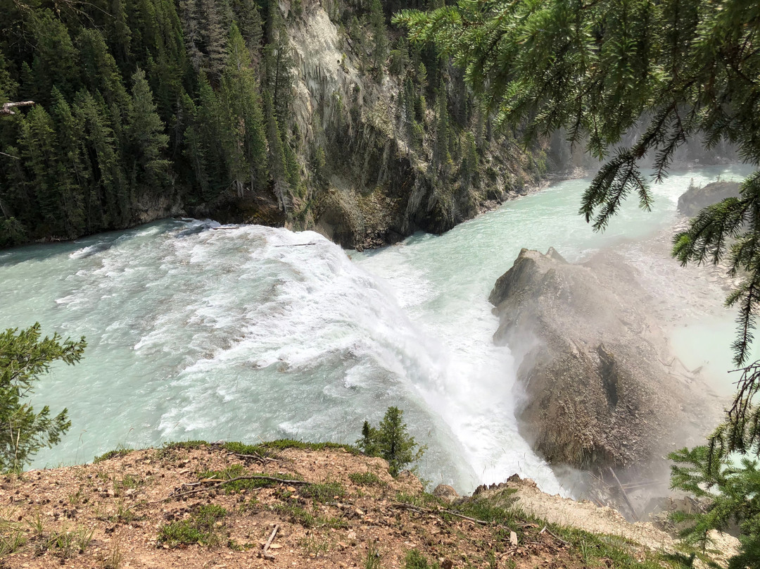 Wapta Falls-幽鹤国家公园必去景点