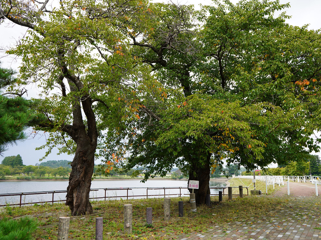 Lake Tokura景点图片