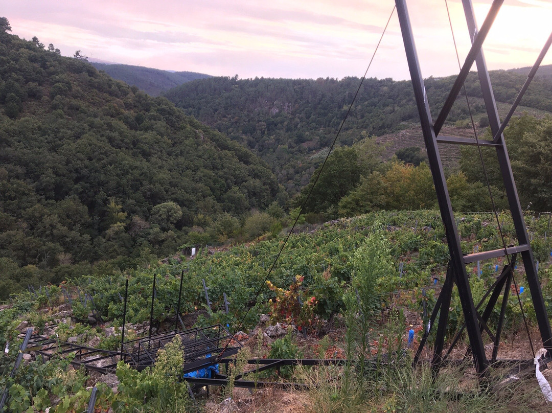 Adega Malcavada-Sober必去景点