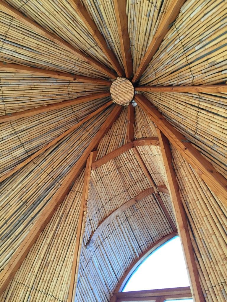 Bethesda Tower Accommodation-官方