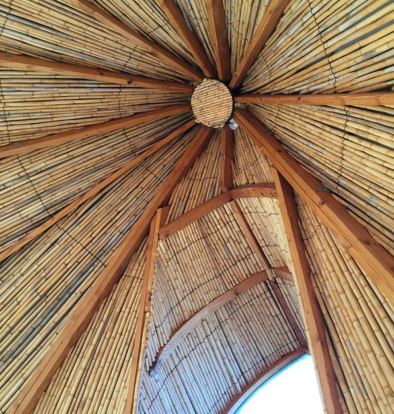 Bethesda Tower Accommodation主图