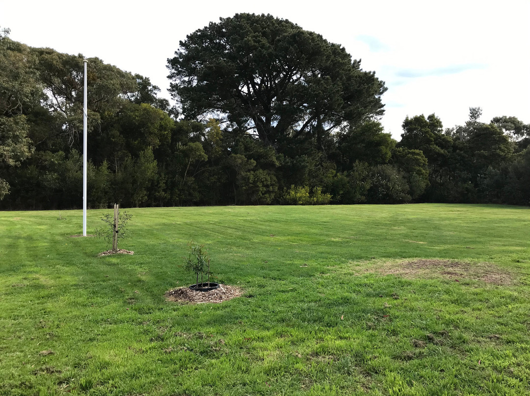 R V Fisher Reserve Playground-Tarwin Lower必去景点