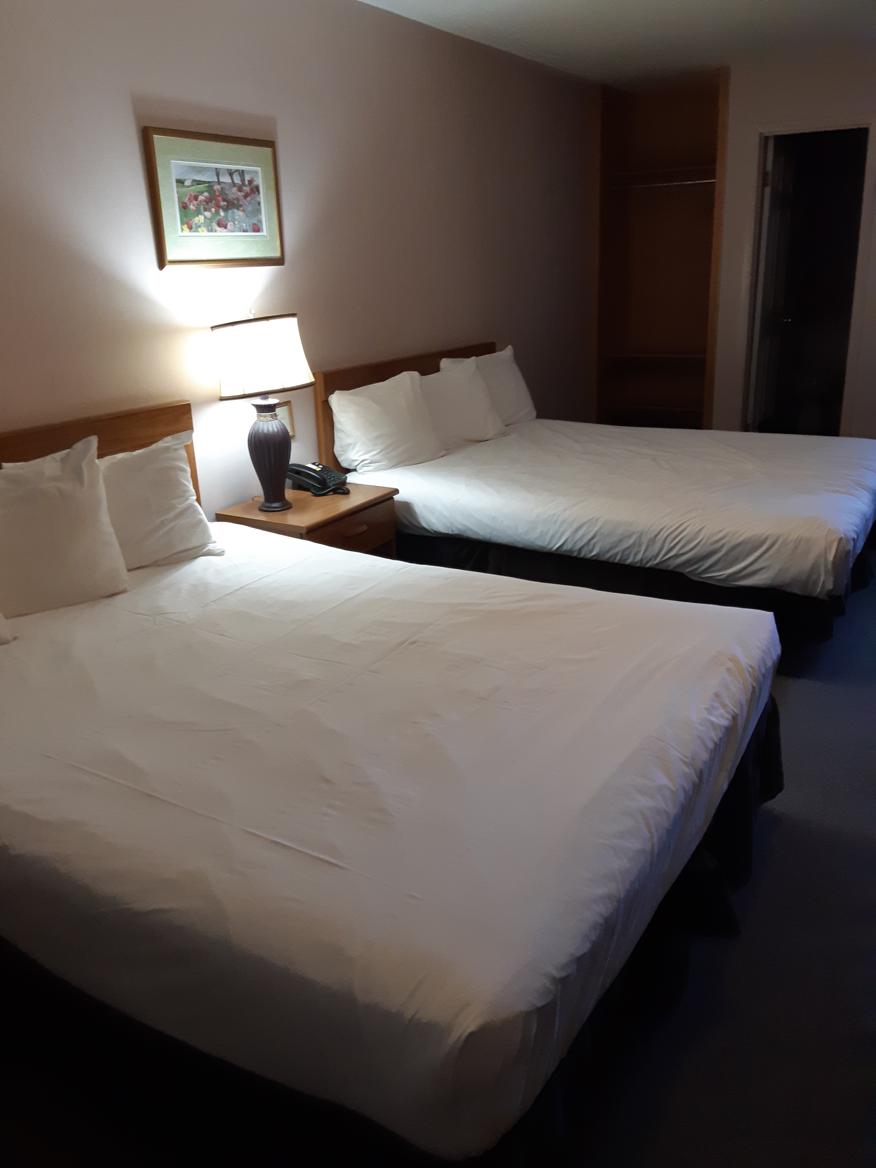 Saga Resort-官方