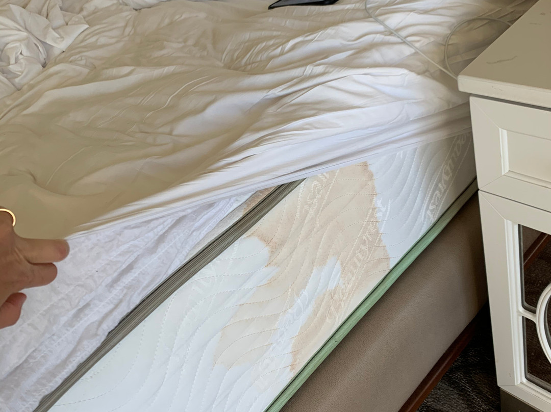 Wentworth By The Sea主图