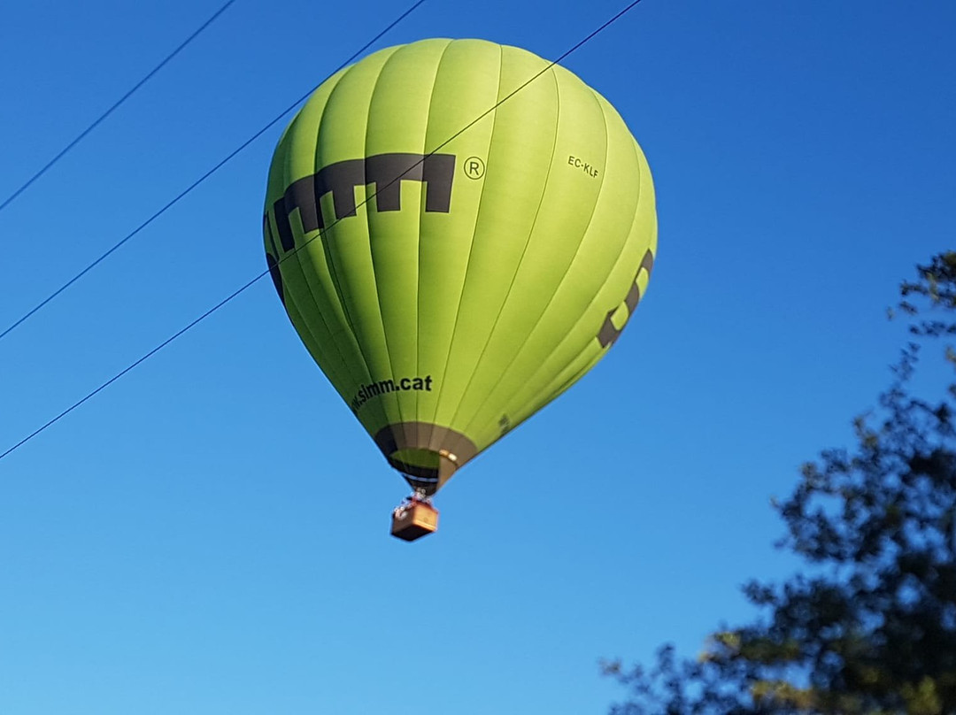 Aircat-维克必去景点