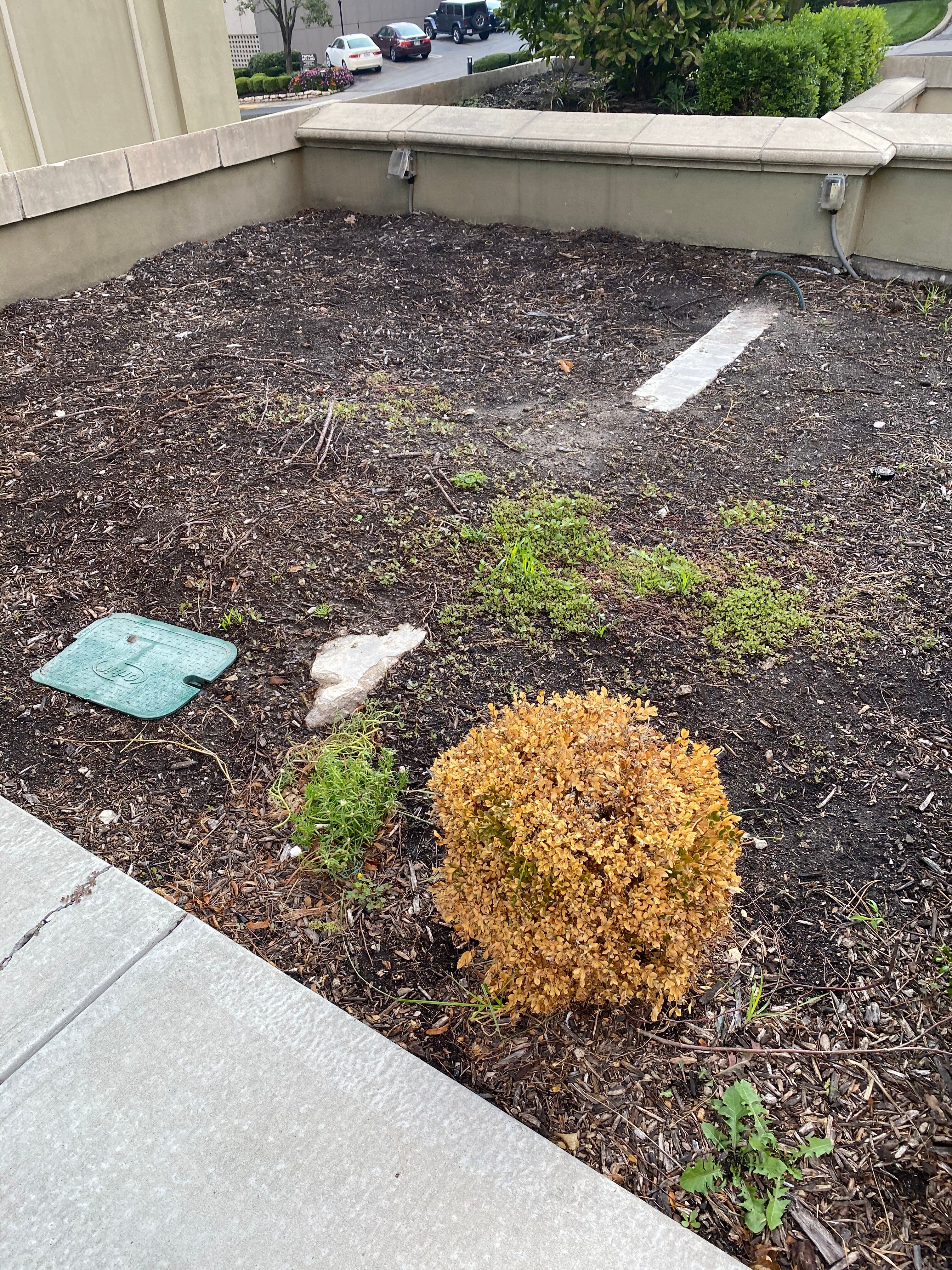 Intercontinental Kansas City At The Plaza By IHG-浴室