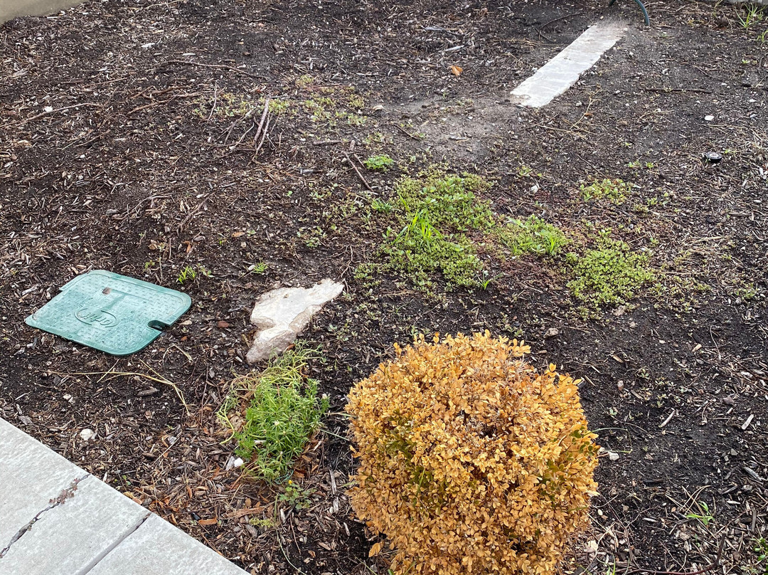 Intercontinental Kansas City At The Plaza By IHG主图