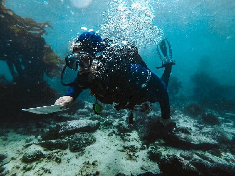 Cape RADD-开普敦必去景点