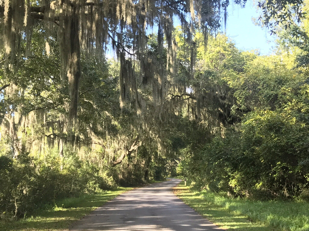 Harris Neck National Wildlife Refuge-萨凡纳必去景点