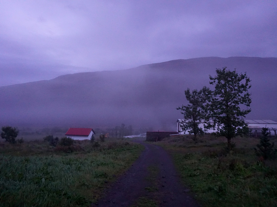 Country Hotel Heydalur主图