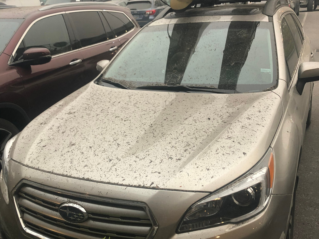 哈特福德贝斯特韦斯特普勒斯酒店主图