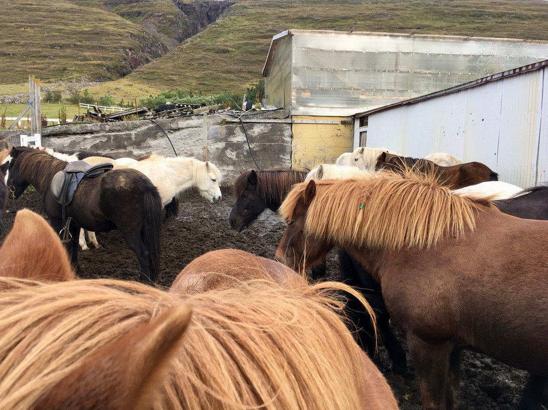 Country Hotel Heydalur主图