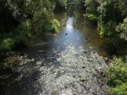 Gretel Von Birne主图