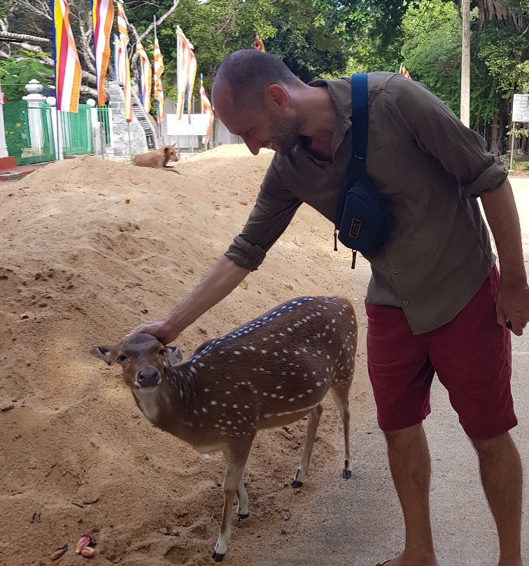 Girihadu Seya-Eastern Province必去景点