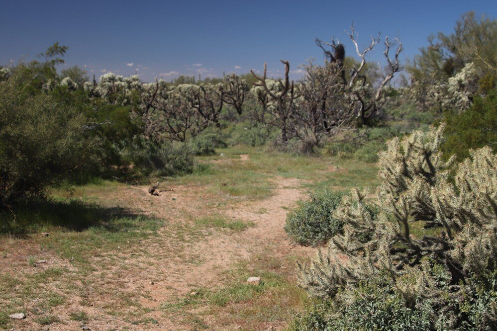 Tom Mix Museum-Dewey必去景点
