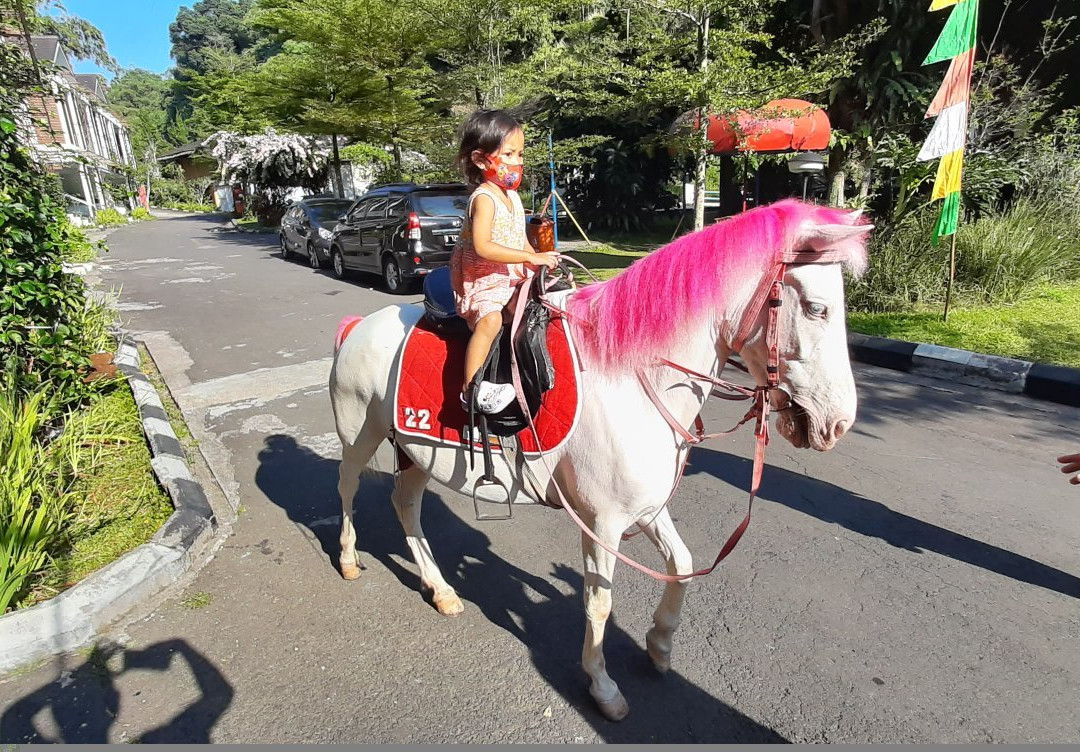 Zuri Resort Cipanas主图