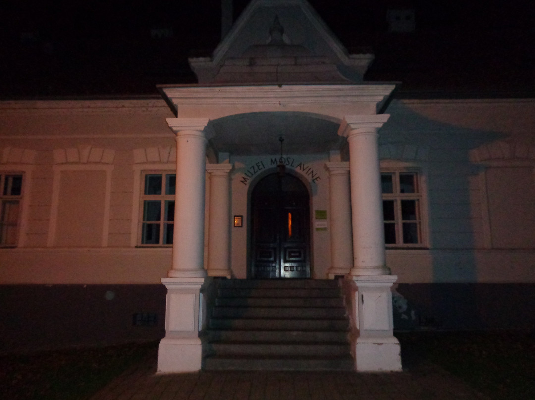 Moslavina Museum and Gallery景点图片