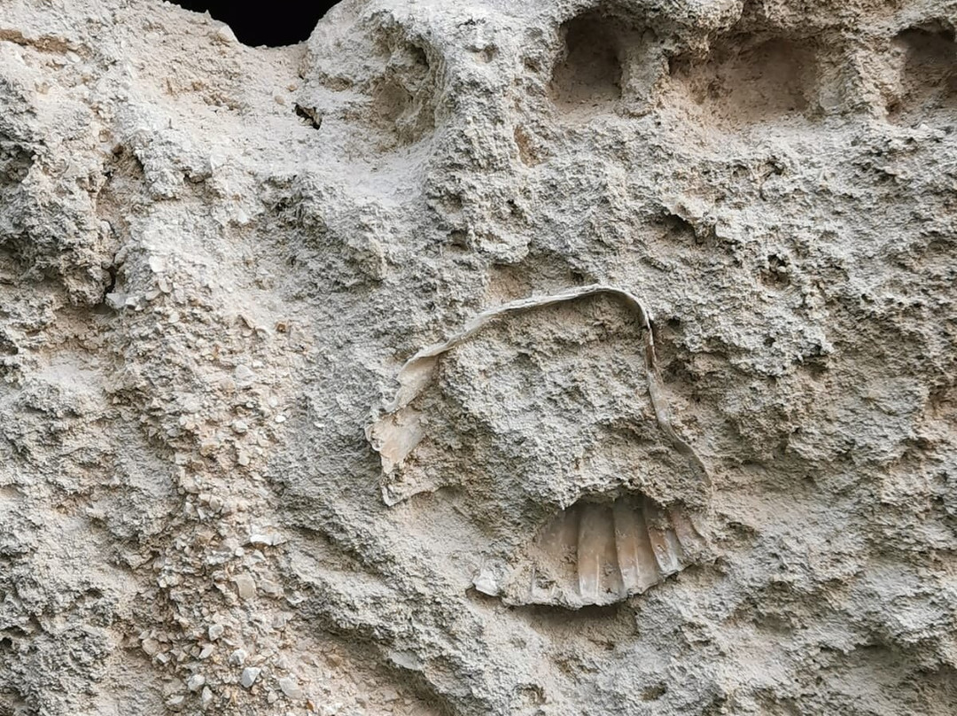 Le Case Di Sottovento主图