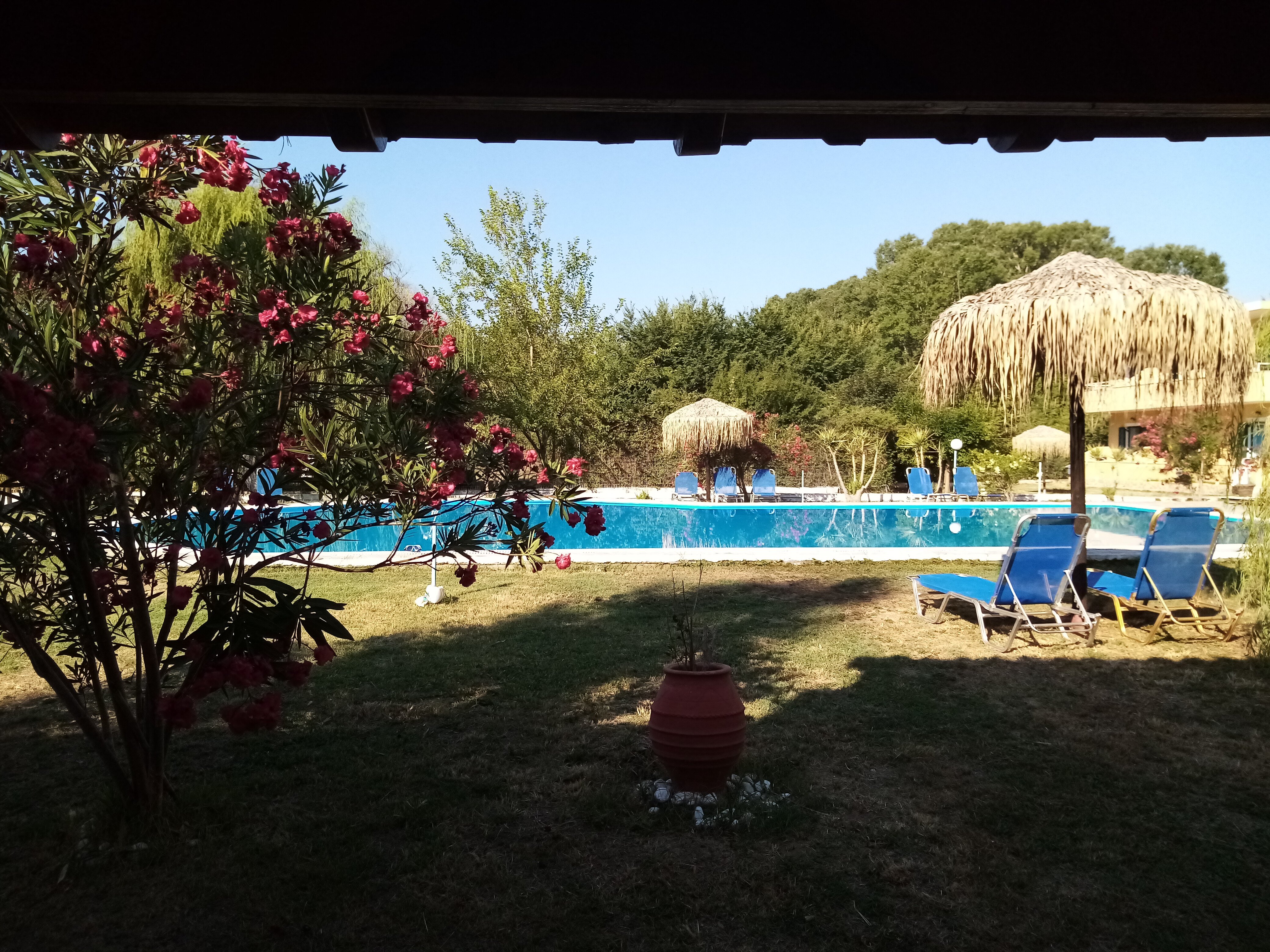 The Seahorse - Arts Hotel & Apartments-泳池