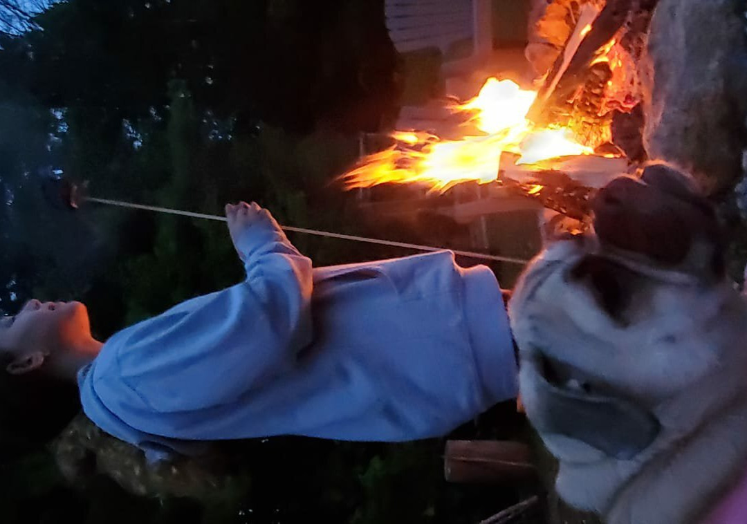 Pine Tree Motel & Cabins主图