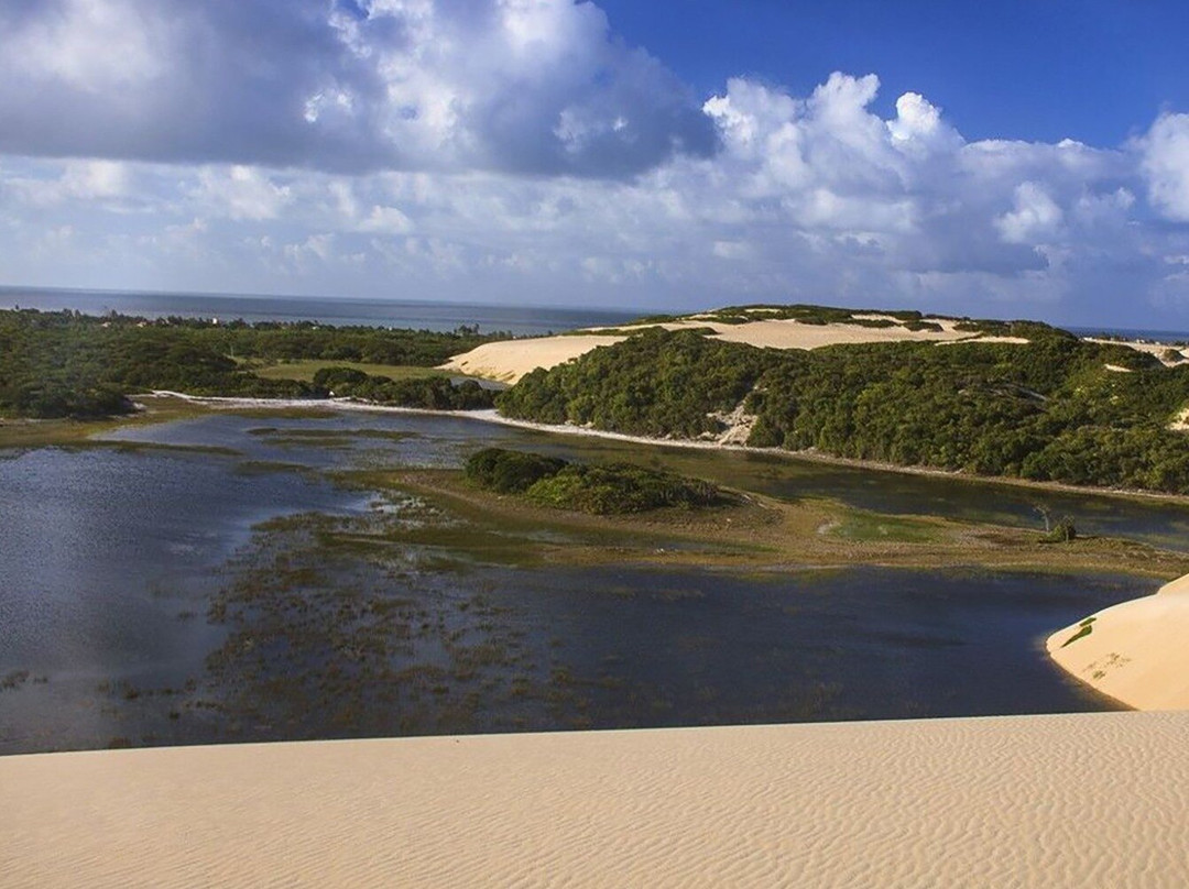 Gray Line Brazil景点图片