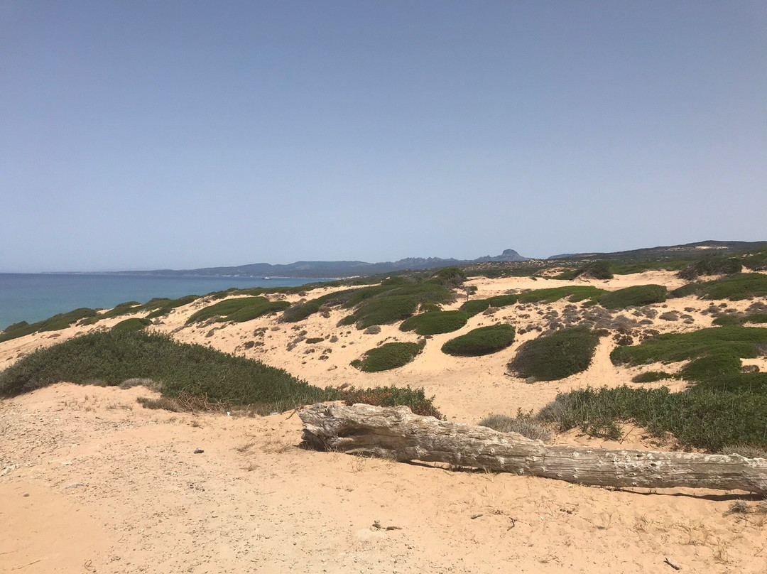 Antica Tonnara di Porto Paglia-Gonnesa必去景点