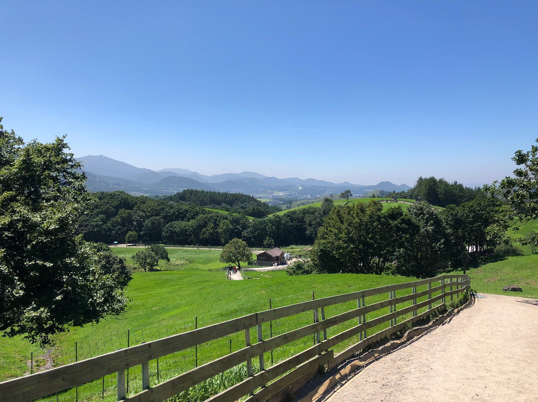 Daegwallyeong Sheep Ranch-平昌郡必去景点