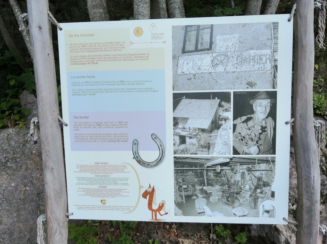 Sentiero d'Avventura del Cavallo Haflinger-Avelengo必去景点