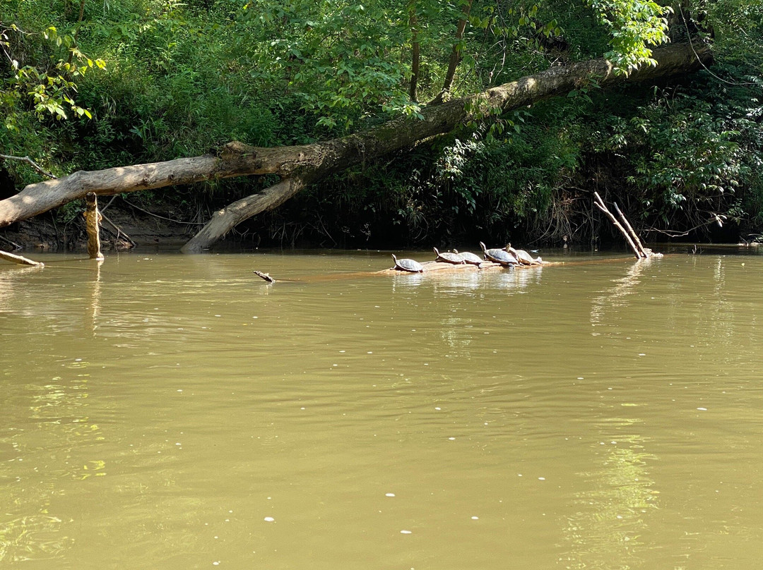 Appalachian Outfitters-达洛尼加必去景点