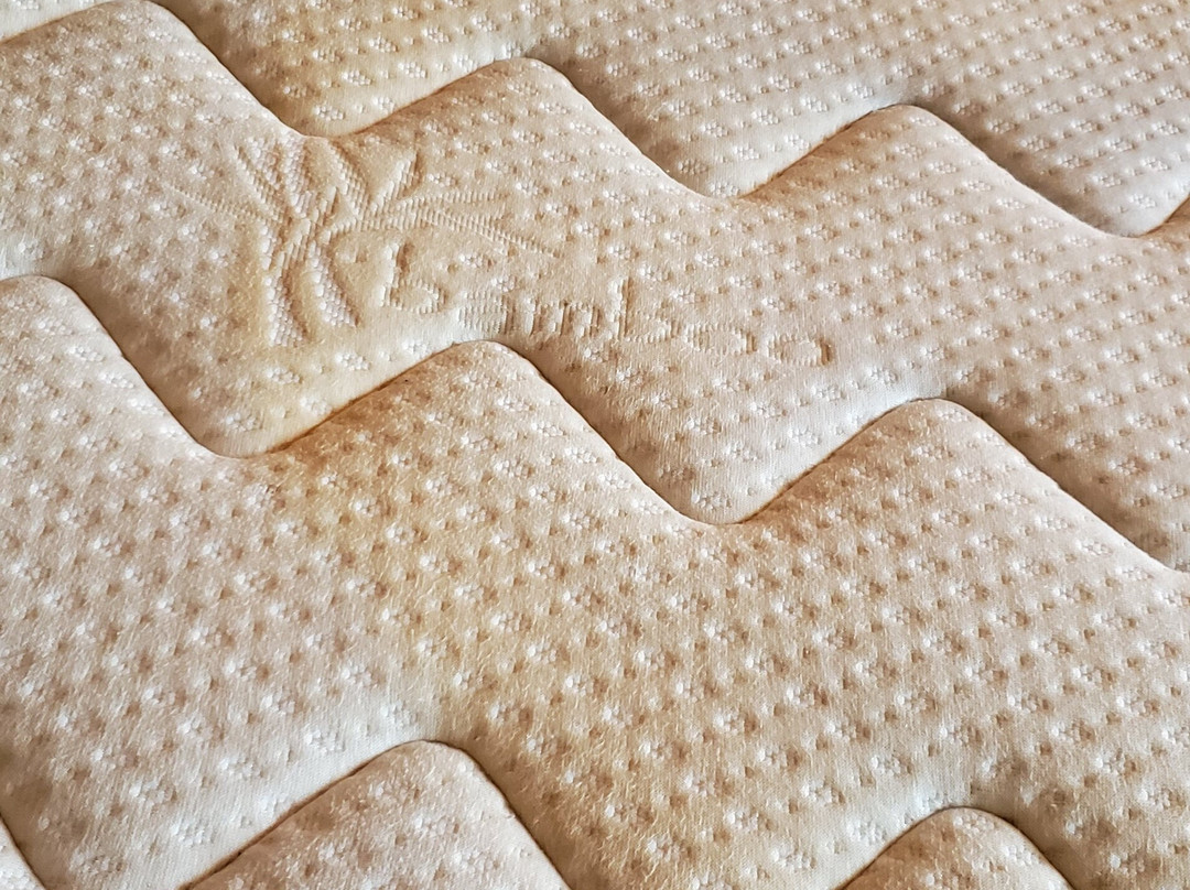 Atlantic Resort Group主图