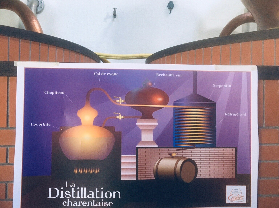 Distillerie景点图片