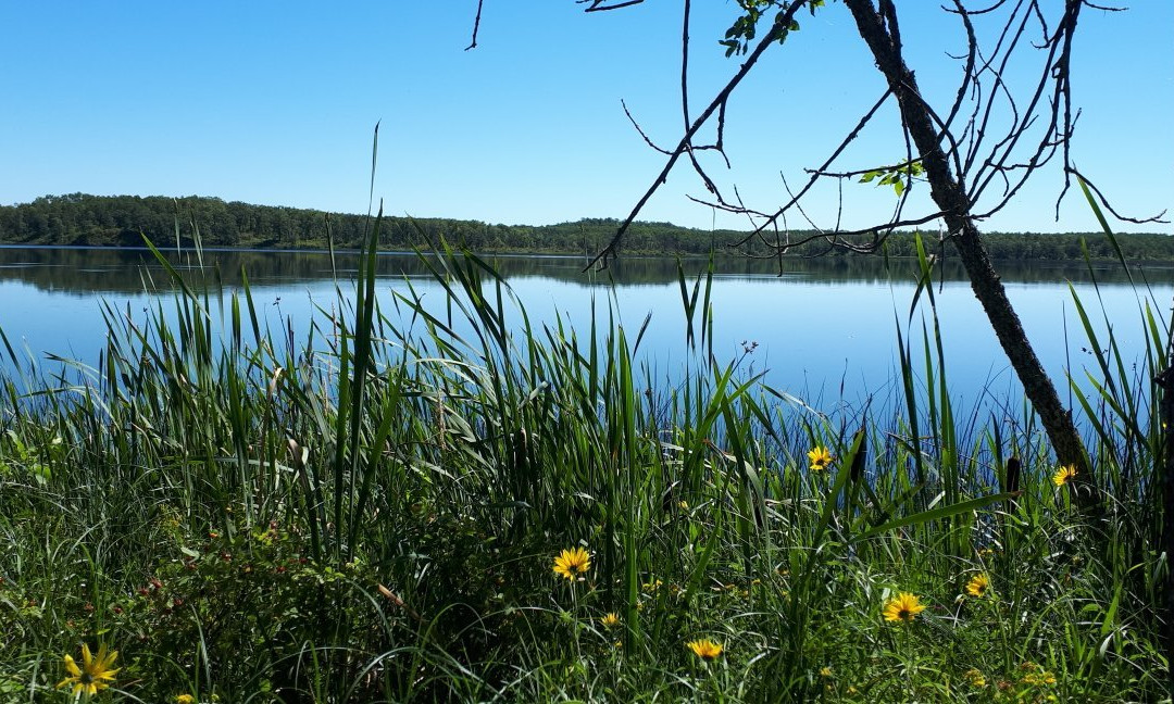 Turtle Mountain Provincial Park-波伊斯维因必去景点