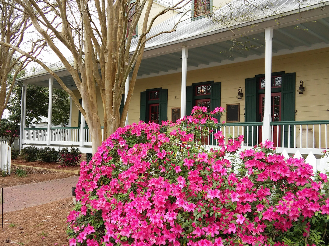 Azalea Trail景点图片