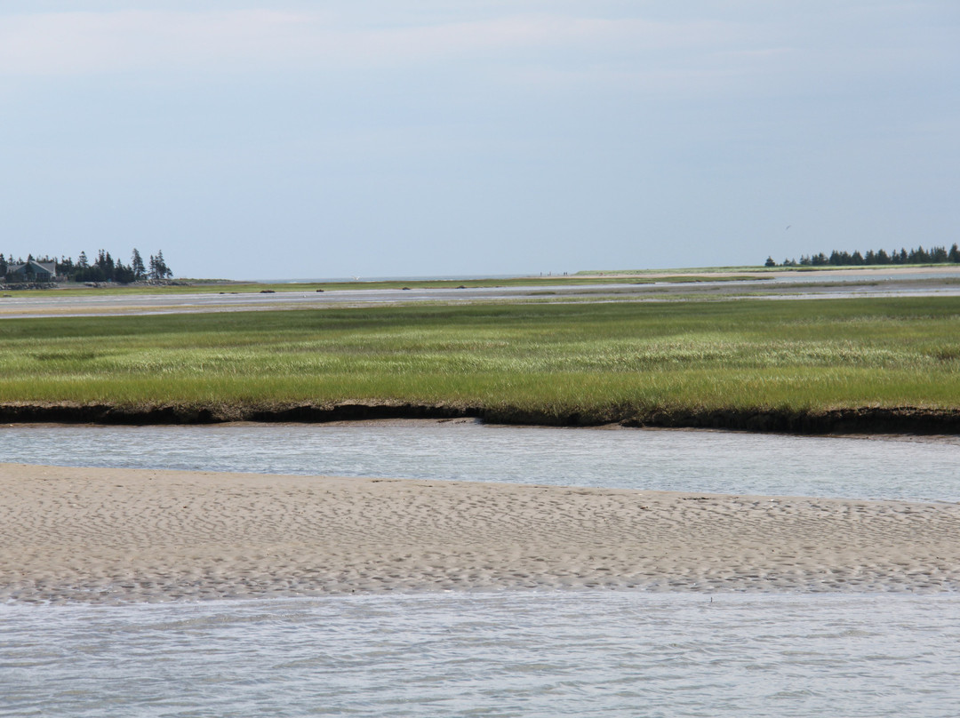 Salt Marsh Trail-Cole Harbour必去景点