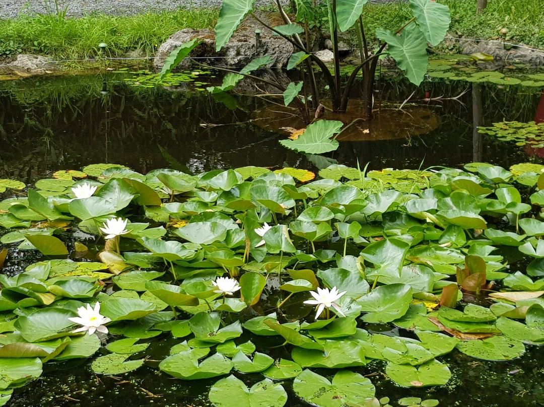 Feeriland-Veyrac必去景点